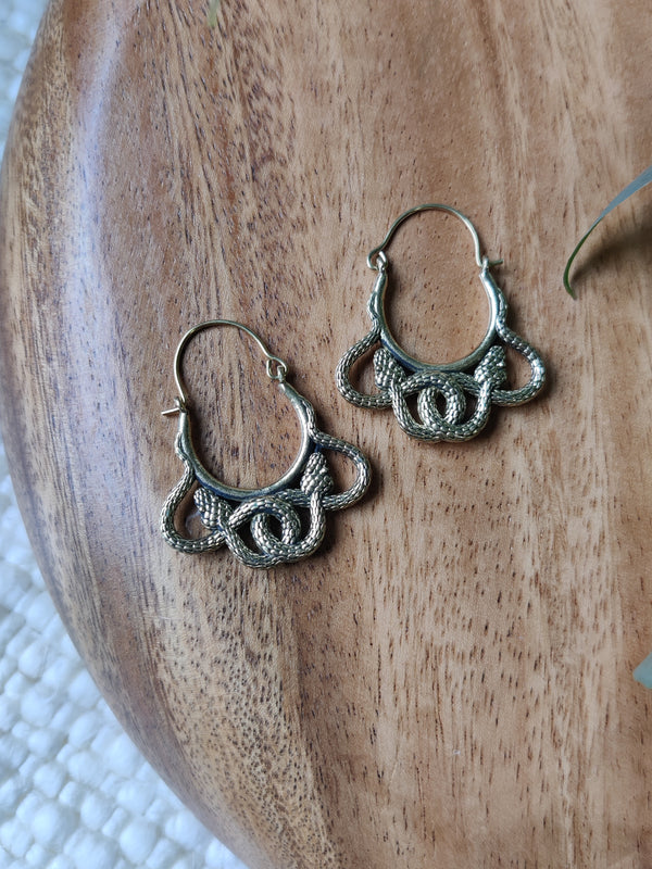Brass Medusa Earrings