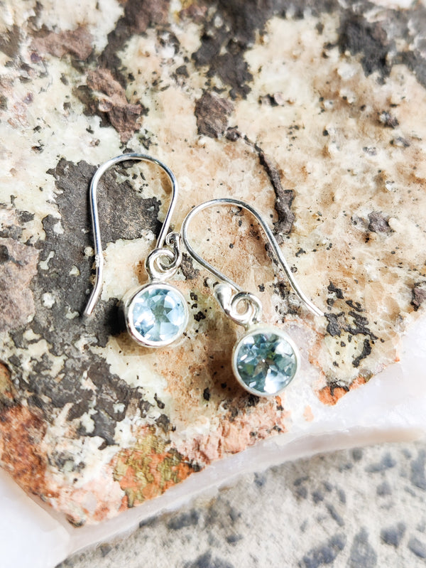 Sterling Silver Gemstone Circle Earrings