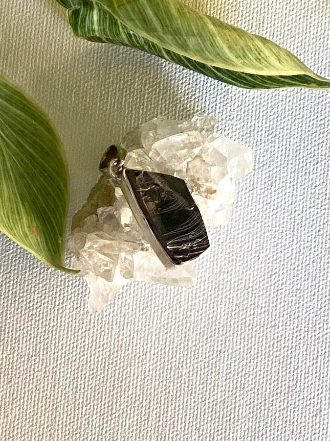 Black Shungite raw stone pendant on a white crystal with green leaves on a textured beige background