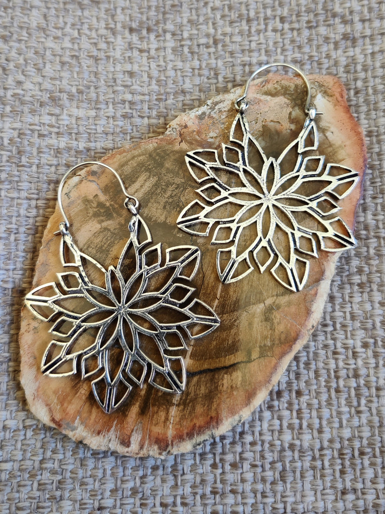 Savy Earrings - Silver plated Brass