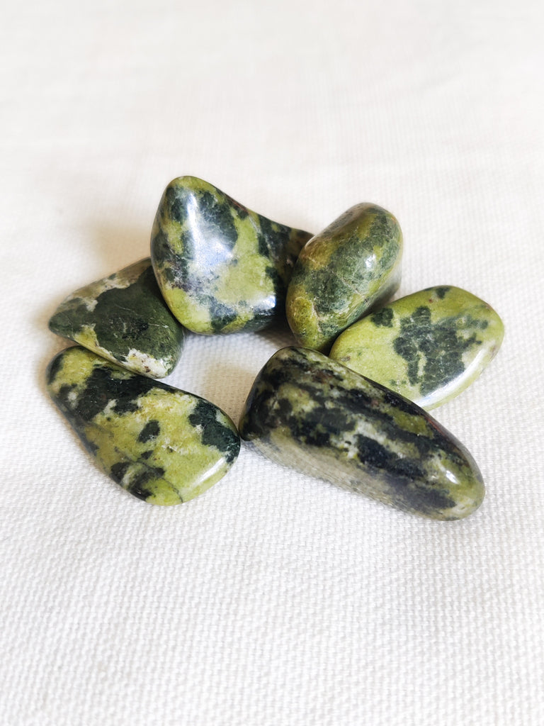 Crocodile Jasper Tumbled Crystals