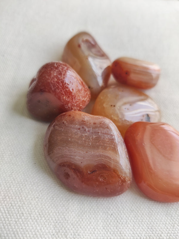 Medium Carnelian Tumbled Crystals